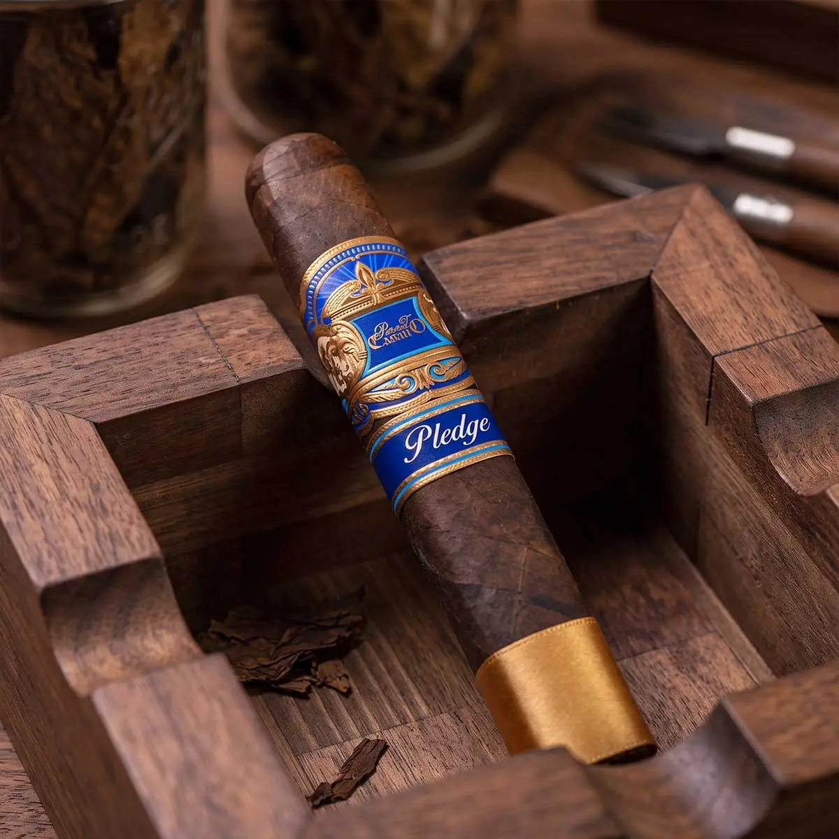 E.P. Carrillo Pledge Prequel